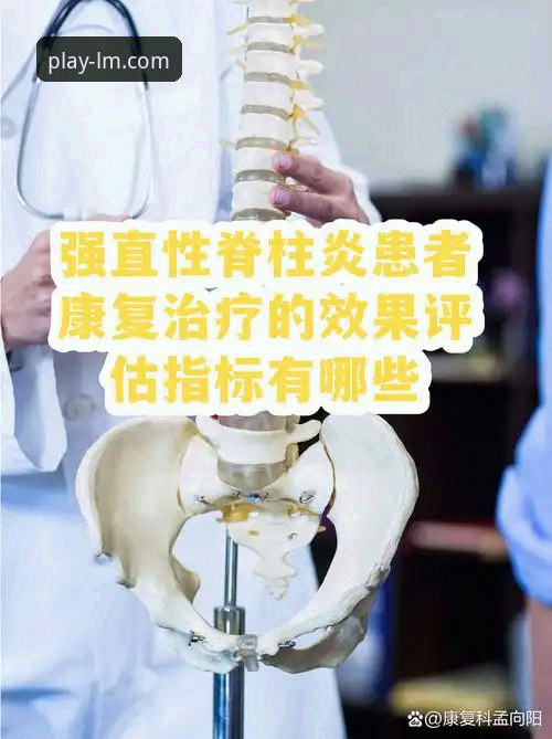 评测LM体育APP官网安全性的3个核心维度与5项关键指标
